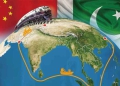 امکان سنجی انتقال انرژی از پاکستان به چین